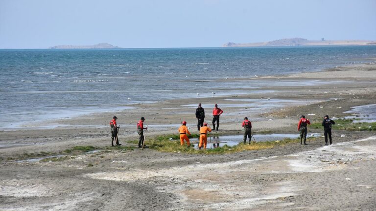 Van’da kaybolan genç kadını arama çalışmaları sürüyor