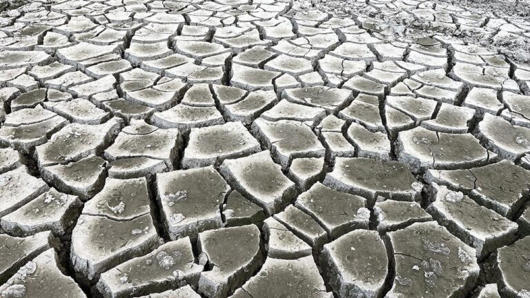 “İklim Durumu Güncellemesi 2024” raporu yayınlandı.