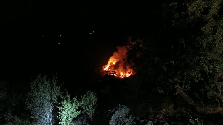 Alevlere karşı mücadele 6 ilde devam ediyor