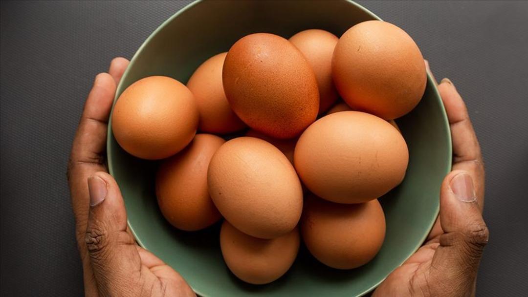 Salgın alarm verildi: Yumurtalar 95 kişiyi zehirledi! Alarm o bölgede verildi ... 2