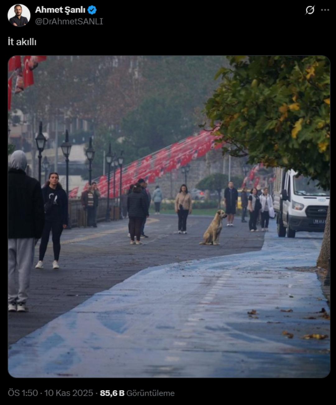 10 Kasım paylaşımları sosyal medyayı salladı! Skandal açıklamalara tepkiler yağdı: